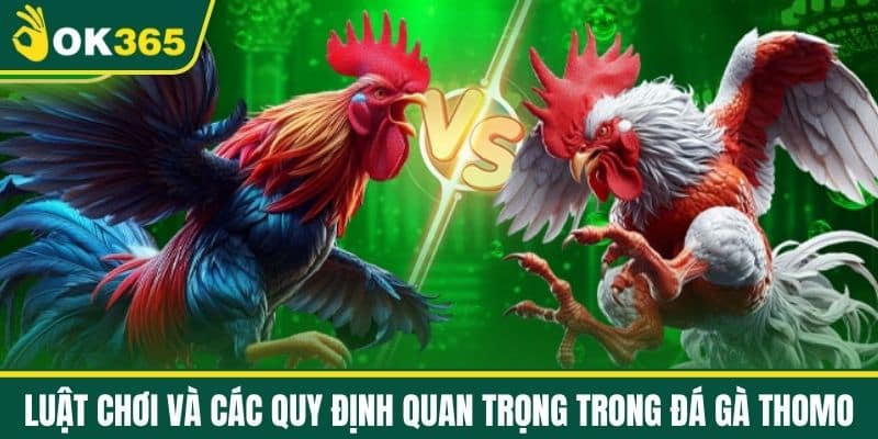 Luật Chơi và Các Quy Định Quan Trọng Trong Đá Gà Thomo